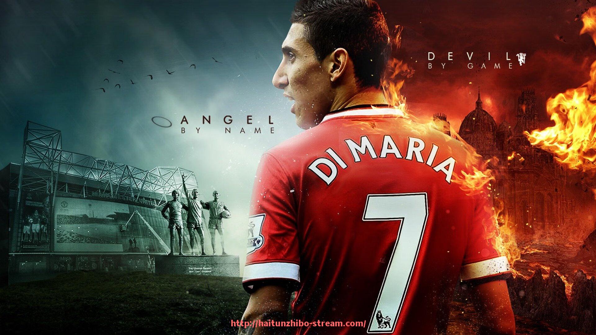 海豚直播-锻炼手力的健身器材的详细介绍与使用建议