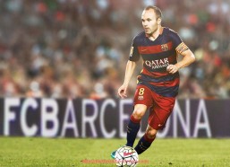 海豚直播-德甲俱乐部2025年盈利能力排行及财务数据详细分析