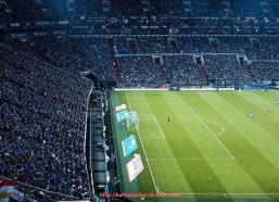 海豚直播-中超联赛所有球员：中超联赛参赛球员名单及分析